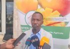 Korhogo : Pascal Nembelessini-Silué réélu à la tête de l'Interprofession Mangue de Côte d'Ivoire