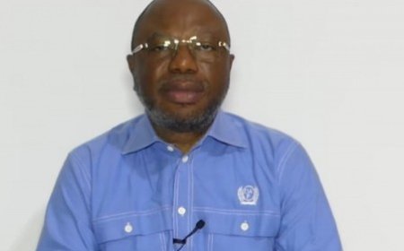 Arrestation de Damana Pickas : Six chefs d’accusation retenus contre le vice-président du PPA-CI