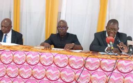 Crédit d'enlèvement douanier à 100 millions : Le SYNAT-CI fait un plaidoyer