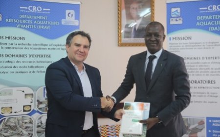 Renforcement de la Coopération : Le CRO et l’IRD consolident leur partenariat pour la recherche marine