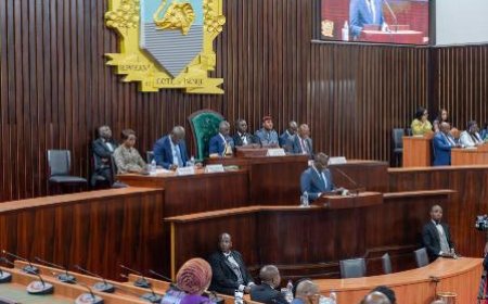 Séance d’information parlementaire : La Cour des comptes présente son rapport sur l’exécution du budget 2024 devant les députés