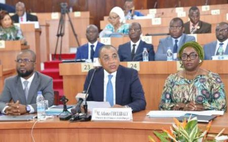Budget 2026 : Un projet ambitieux de 17 350 milliards FCFA pour accélérer le développement de la Côte d’Ivoire