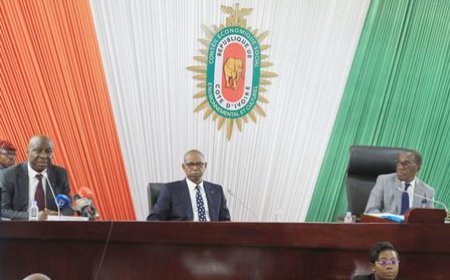 Sécurisation foncière rurale : Bamba Cheick Daniel (AFOR) appelle à un « sursaut national » autour de cette question de « salut public »