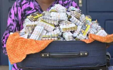 Korhogo : Une saisie de 25 000 comprimés de tramadol dans une gare routière