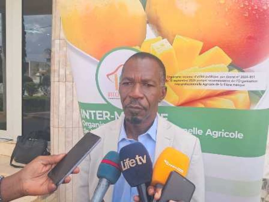 Korhogo : Pascal Nembelessini-Silué réélu à la tête de l'Interprofession Mangue de Côte d'Ivoire
