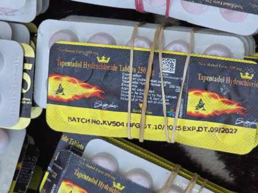Korhogo : Une saisie de 25 000 comprimés de tramadol dans une gare routière