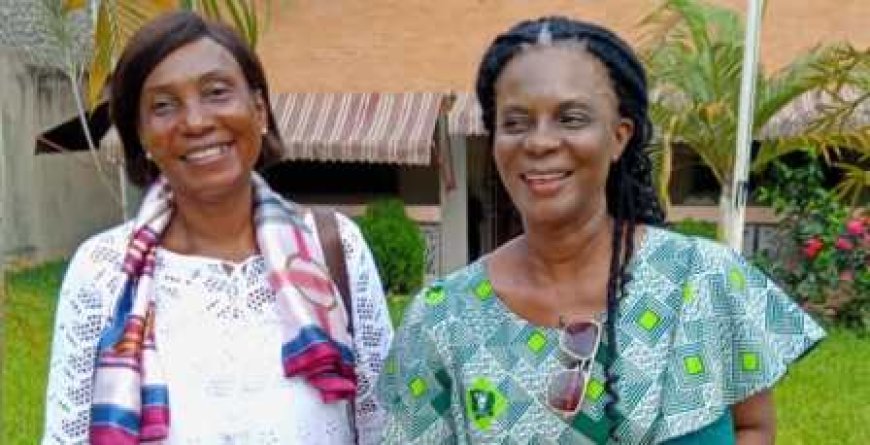 PDCI-Anyama : Une délégation en mission de mobilisation à Attinguié