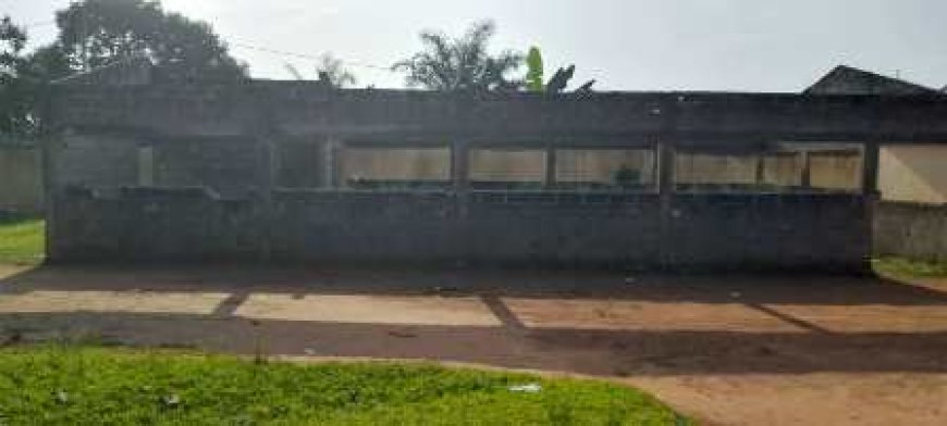 Ouragahio : Les élèves du Groupe scolaire Kpapékou–Kokouézo lancent un appel urgent pour la réhabilitation de leur école