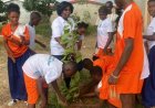 Protection de l’environnement : Le RIEEC sensibilise les élèves du groupe scolaire les Battants d’Azaguié Blida