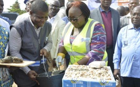 Toulepleu / Reprofilage de 25 km de voirie et extension électrique : des travaux vitaux pour la population