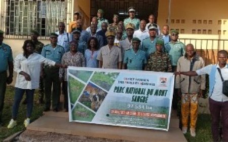 Mont Sangbé : Une gouvernance environnementale qui monte en puissance à Biankouma