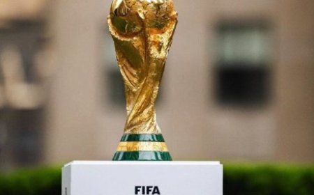 Coupe du monde 2026 : Les éléphants dans le groupe e, un combat de titans avec l'allemagne en vue !