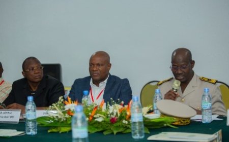 Riziculture ivoirienne : De grandes annonces à l’ouverture de l’atelier national de capitalisation du PPT-SCR-CI à Man