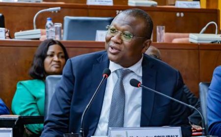 Amadou Coulibaly obtient l'adoption unanime des budgets de la communication et de la  jeunesse 2026 au sénat