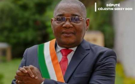 Élections législatives/Bangolo en démonstration : Serey Doh orchestre la razzia dans le Guémon