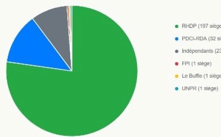 Législatives 2025 : Le RHDP écrase le scrutin et s’offre une super majorité historique