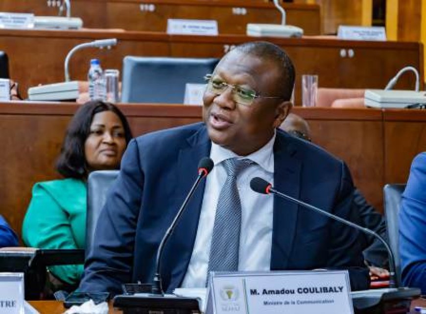 Amadou Coulibaly obtient l'adoption unanime des budgets de la communication et de la  jeunesse 2026 au sénat