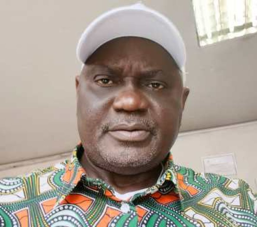 Ibrahim Kamagaté, président des Grins de Côte d’Ivoire à propos des législatives : « Notre combat est de soutenir les candidats du Rhdp… »