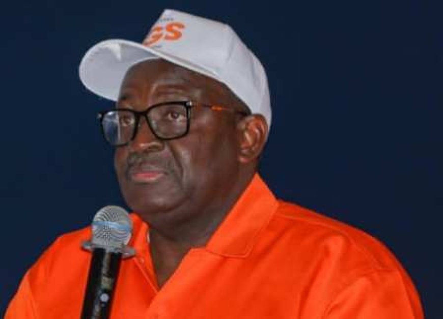 SINEMATIALI / Législatives 2025 : L'unique candidat, Fidèle SARASSORO, mise sur le défi du pourcentage