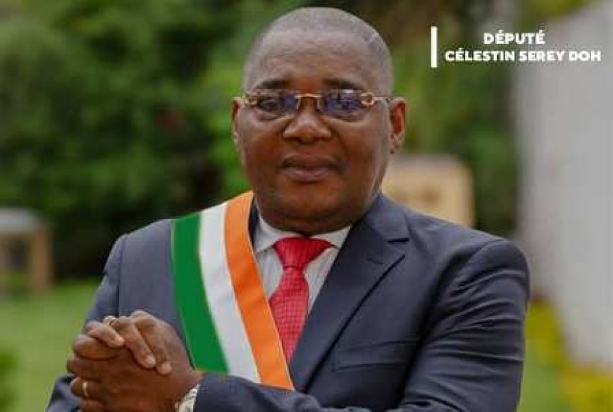 Élections législatives/Bangolo en démonstration : Serey Doh orchestre la razzia dans le Guémon