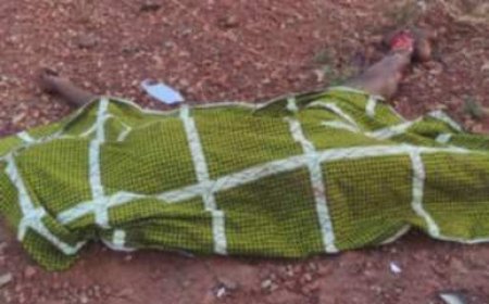 SINEMATIALI : Une jeune fille perd la vie dans un accident de la circulation