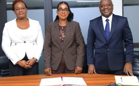 Fonction publique : Oulobote Bobi Grâce prend les rênes des Ressources humaines, Tio Louis Serge entre à l’Assemblée nationale