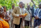 Adzopé/Face aux planteurs, Bruno Koné  réaffirme son engagement pour une agriculture moderne, protectrice des producteurs de cacao