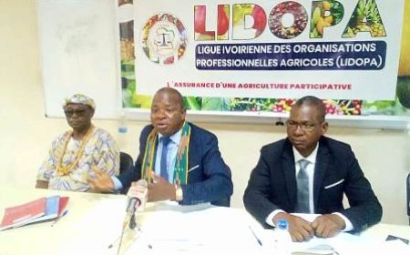 Cacao en crise : La LIDOPA tire la sonnette d’alarme face aux inquiétudes des producteurs ivoiriens