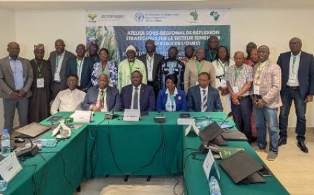 Table ronde stratégique pour transformer le secteur semencier ouest-africain