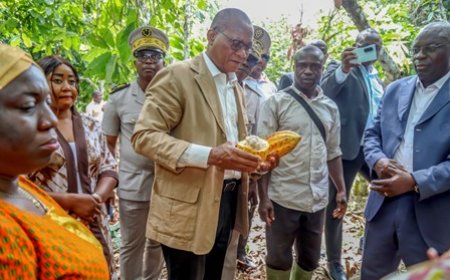 Adzopé/Face aux planteurs, Bruno Koné  réaffirme son engagement pour une agriculture moderne, protectrice des producteurs de cacao