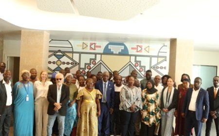 Cacao ivoirien : Une étude révèle une rentabilité sous forte pression