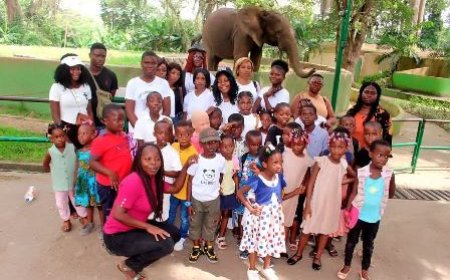 Mini Festival Acte 4 : Le Zoo d’Abidjan au cœur d’une journée éducative et ludique pour les enfants d’Avignon