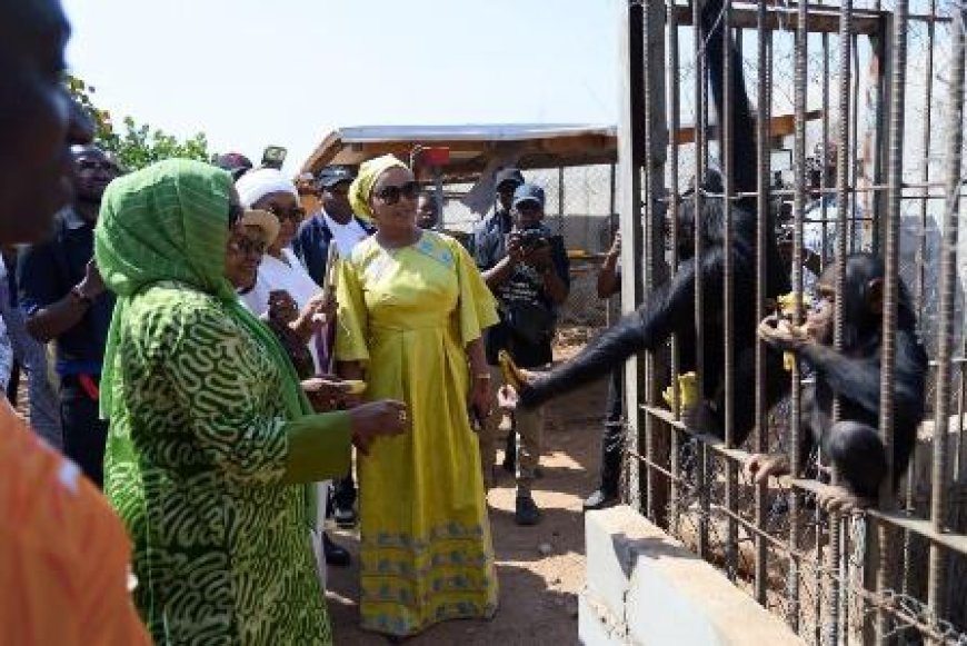 Festival MANDE N’KO 2026 : Trois jours pour célébrer l’âme mandingue et renforcer la solidarité à Odienné