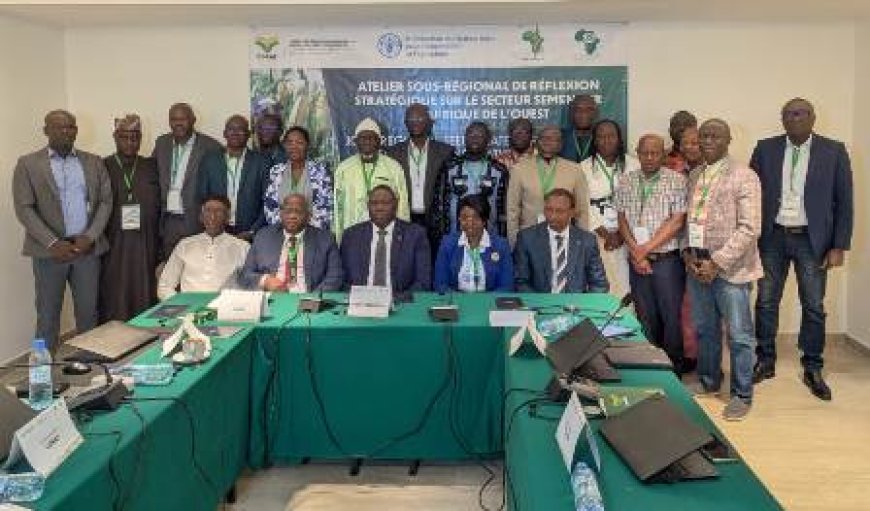 Table ronde stratégique pour transformer le secteur semencier ouest-africain