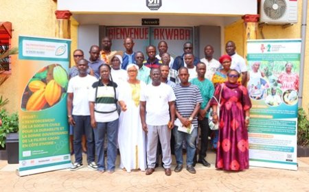 Crise dans la filière cacao : La PICD alerte sur des pertes de plus de 30 milliards FCFA et réclame un dialogue urgent