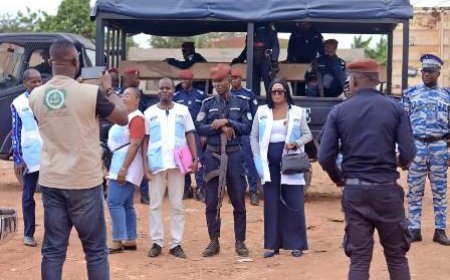 Anyama : Offensive majeure contre le marché noir des médicaments vétérinaires