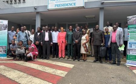 Innovation agricole : Les déchets de manioc bientôt transformés en énergie et fertilisants