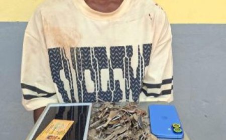 Opération Épervier XI : Un voleur par effraction de 18 ans arrêté à Gagnoa