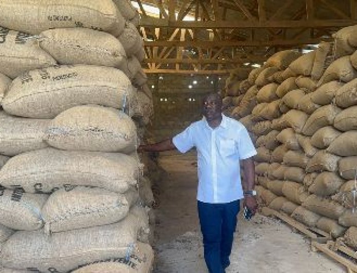 Le Cacao en souffrance dans l’Agnéby-Tiassa : Les producteurs lancent un appel pressant au Président Alassane Ouattara