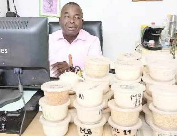 Riziculture/Diaby Mamadou (Moulins Blancs de Gagnoa) : « Notre objectif est de rendre le riz local plus compétitif face aux importations »