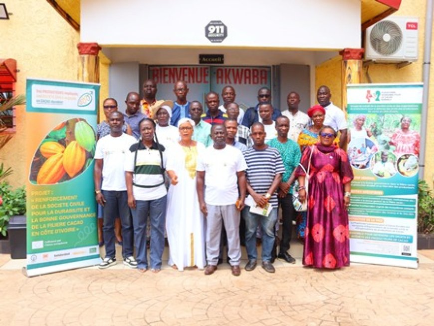 Crise dans la filière cacao : La PICD alerte sur des pertes de plus de 30 milliards FCFA et réclame un dialogue urgent