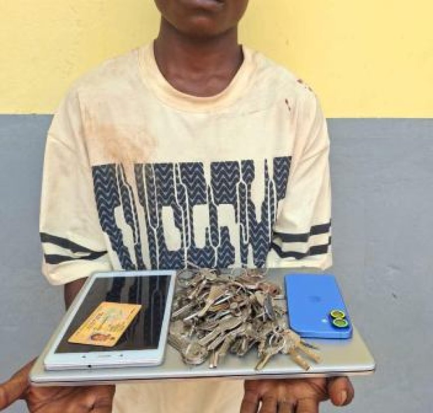 Opération Épervier XI : Un voleur par effraction de 18 ans arrêté à Gagnoa