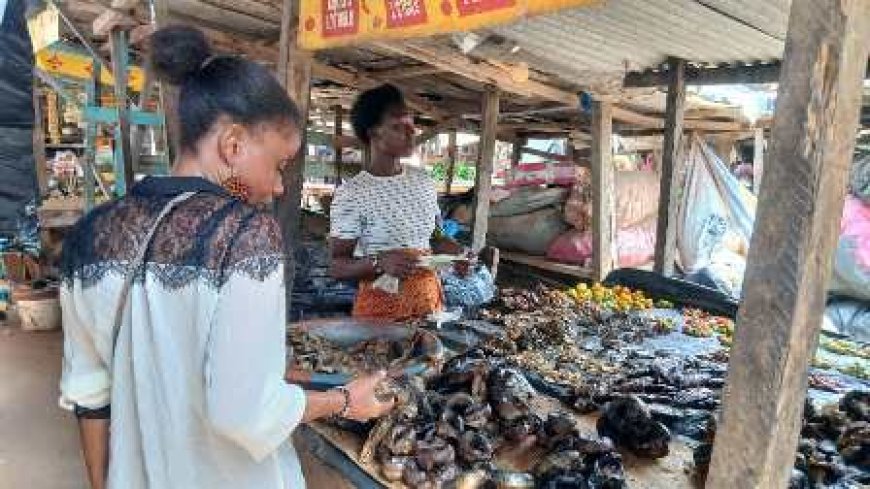 Cherté des denrées alimentaires : Les populations s’inquiètent au marché de Ouragahio
