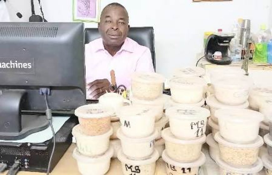 Riziculture/Diaby Mamadou (Moulins Blancs de Gagnoa) : « Notre objectif est de rendre le riz local plus compétitif face aux importations »