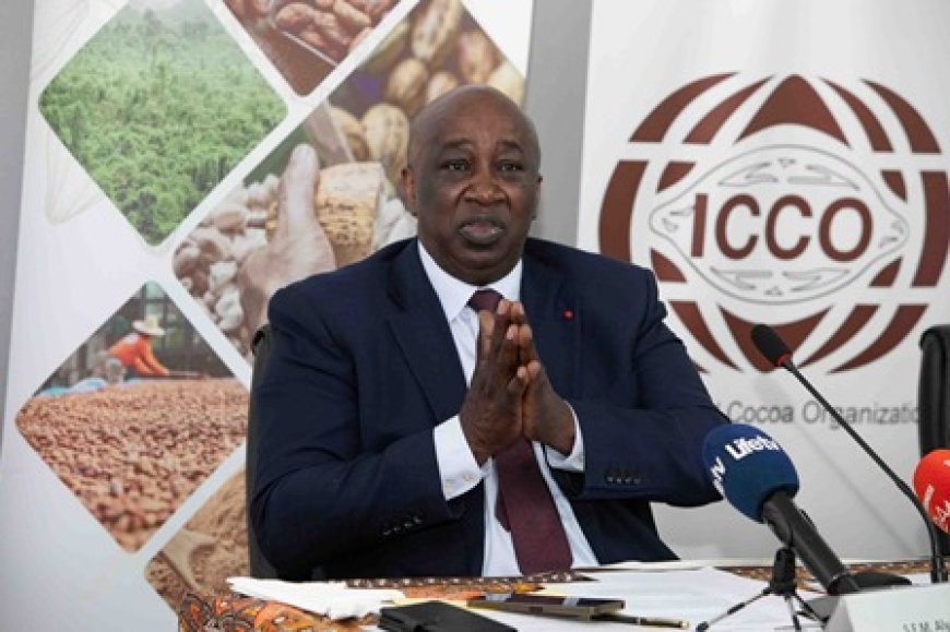 Cacao/Face à l’effondrement des prix : 95 % des producteurs mondiaux en conclave d’urgence à Abidjan