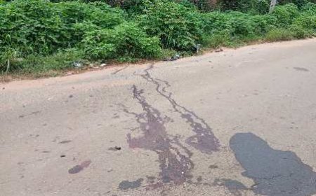 Gagnoa : Le sang coule à nouveau sur la route de Gnaliepa