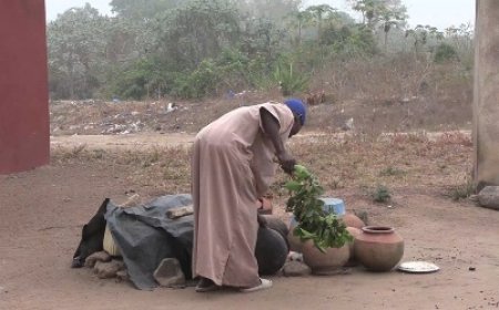 Séguéla : Le village de Gbona, entre guérisons des fractures des os et précarité