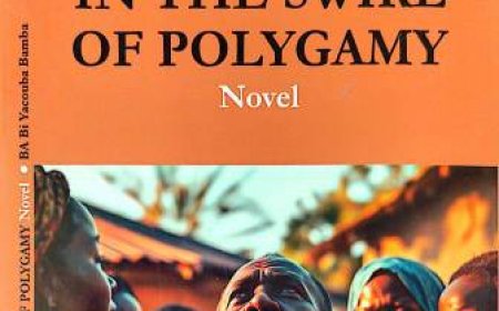 Dédicace : Présentation du roman ''In the swirl of polygamy'' aux lecteurs