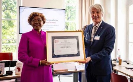 L'Excellence Ivoirienne à l'Honneur : Le Prix du Meilleur Ministre Africain décerné à Kaba Nialé à Paris