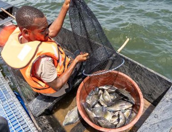 Pisciculture : À Bocabo et Buyo, le gouvernement révolutionne la vie des pêcheurs ivoiriens